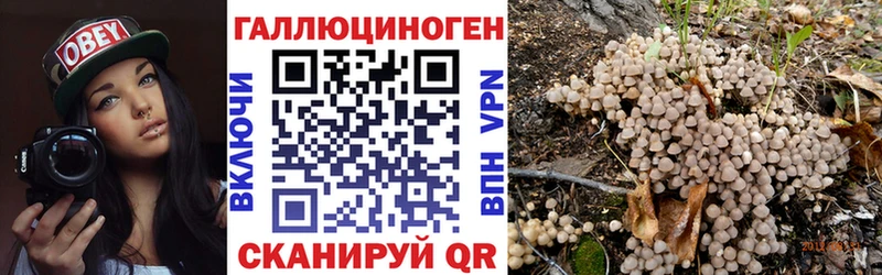 Псилоцибиновые грибы Magic Shrooms  blacksprut tor  Давлеканово 